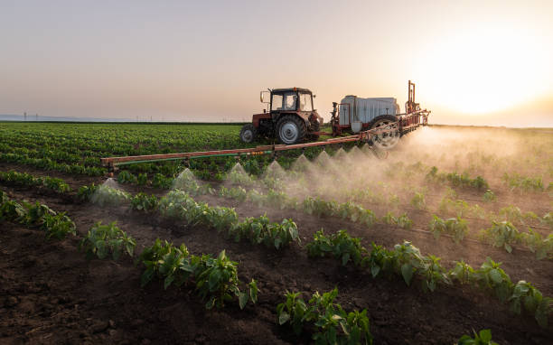 Best Commercial Pest Control Services  in White Bluff, TN