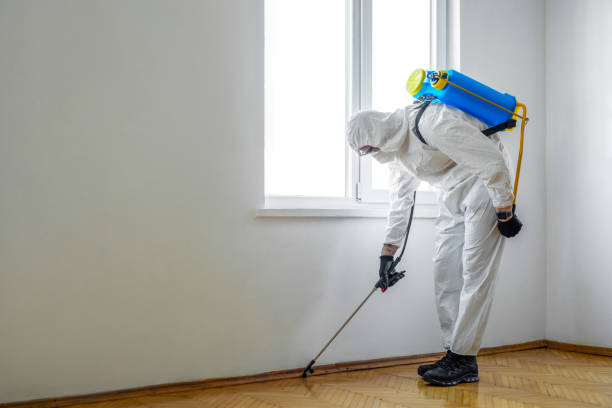 Best Residential Pest Control  in White Bluff, TN