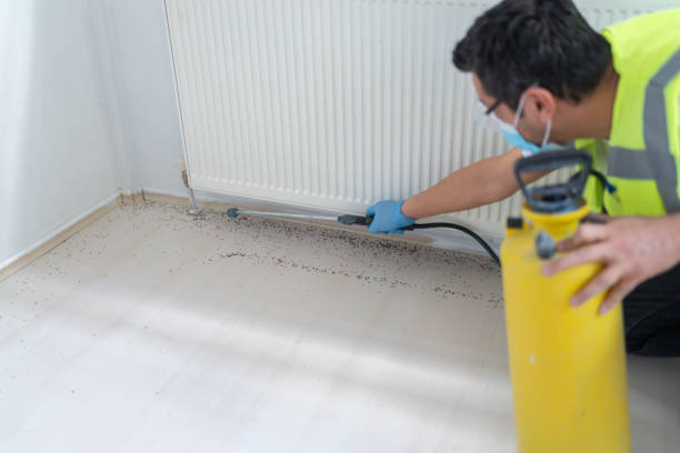 Best Exterminator Services  in White Bluff, TN