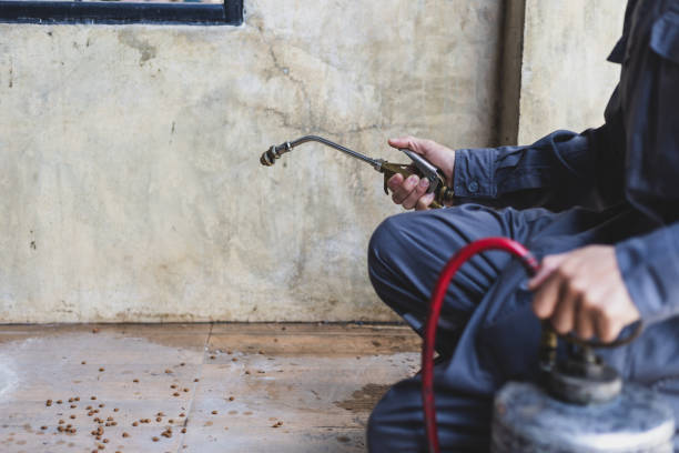 Best Wasp Removal Services  in White Bluff, TN